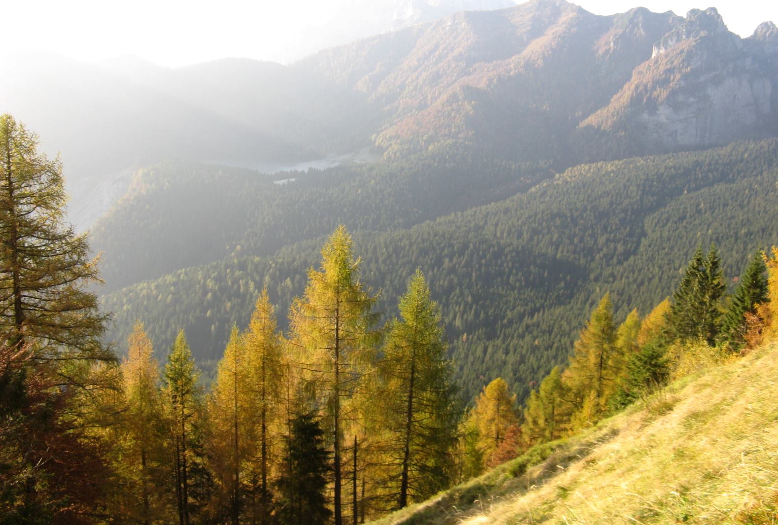 Cimon de Cajada: sulle tracce dei camosci.